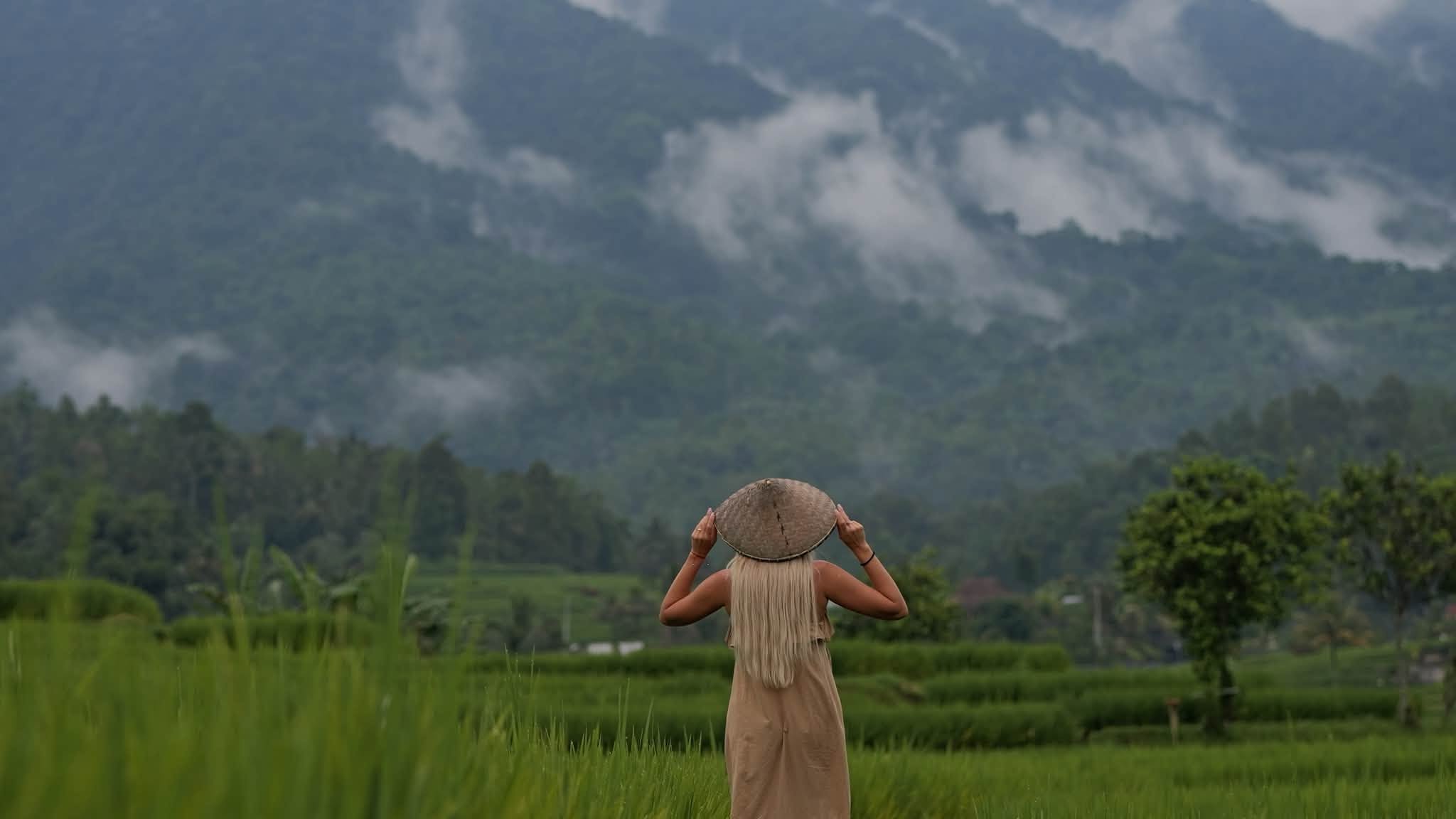 A wanderer in a hat above the rice fields