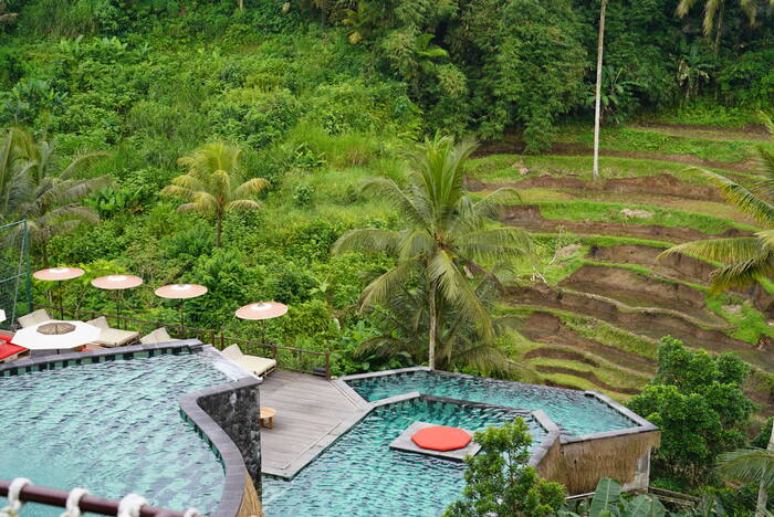Huśtawka nad dżunglą — Indonezja