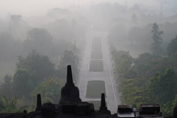 Aleja we mgle — Indonezja