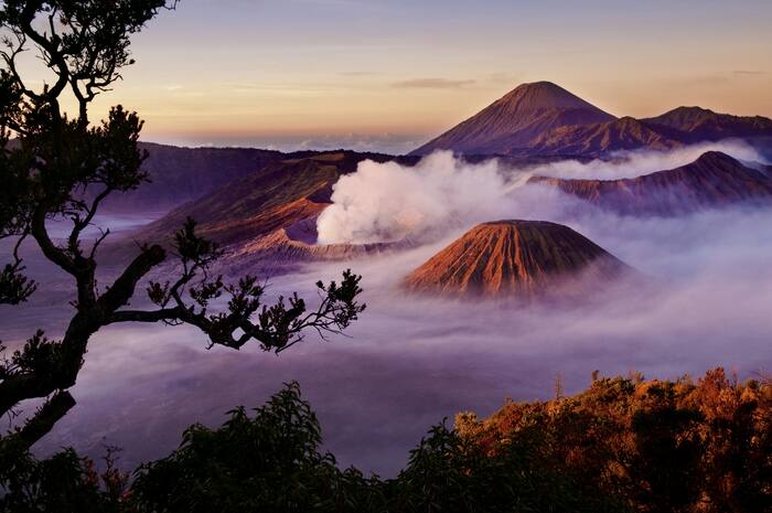 Bromo za drzewem — Indonezja