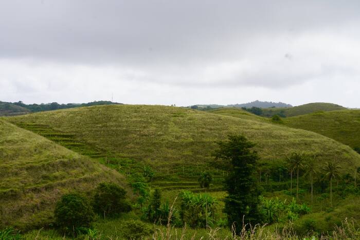 Zielone wzgórza Nusa Penidy — Indonezja