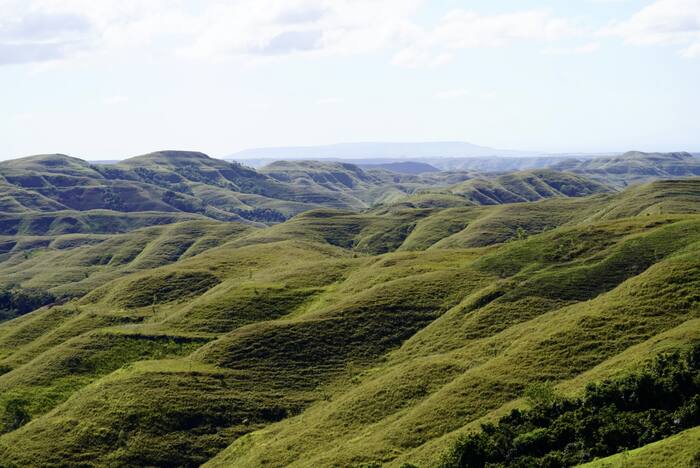 Zielone fale wzgórz — Indonezja